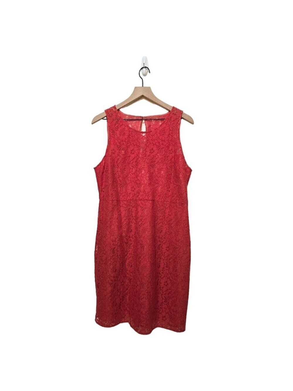 J. Crew California Poppy Sleeveless Lace Knee Length Sheath Dress Sz 14